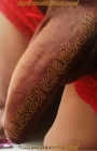 Travesti Cindhy 9